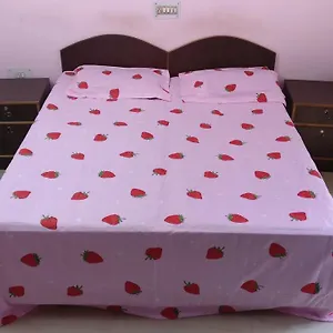  Guest house Arora House